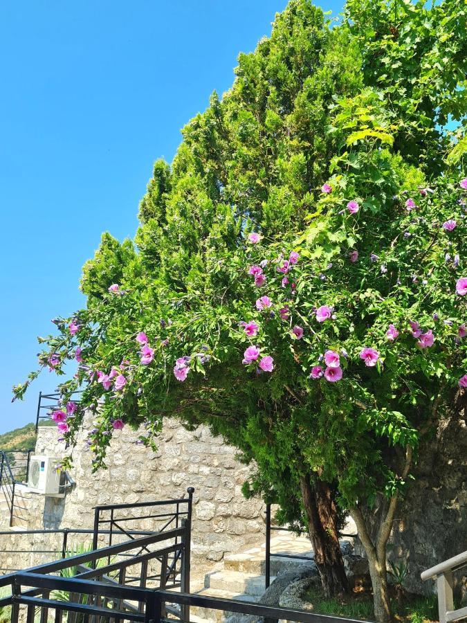 Villa Nera Μπούντβα Εξωτερικό φωτογραφία