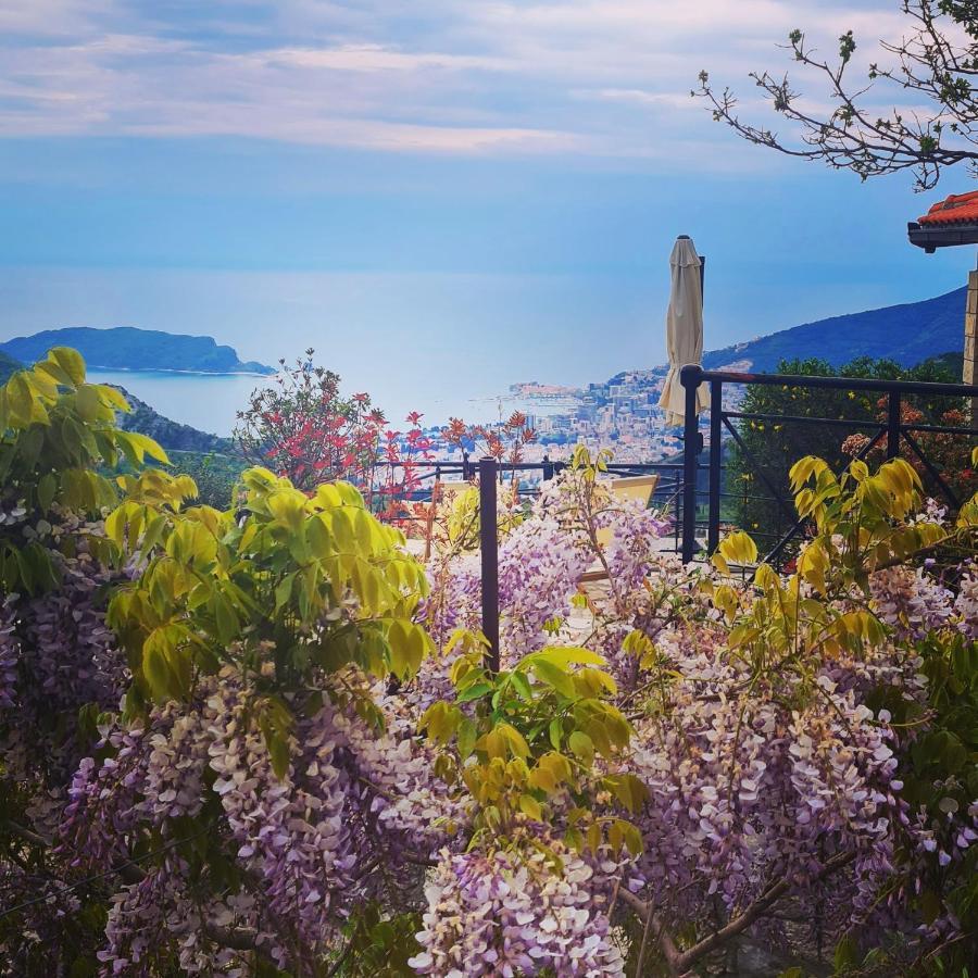 Villa Nera Μπούντβα Εξωτερικό φωτογραφία