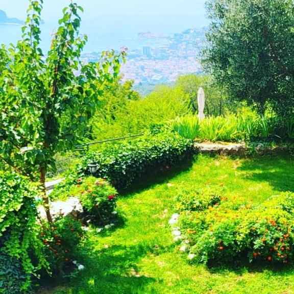 Villa Nera Μπούντβα Εξωτερικό φωτογραφία