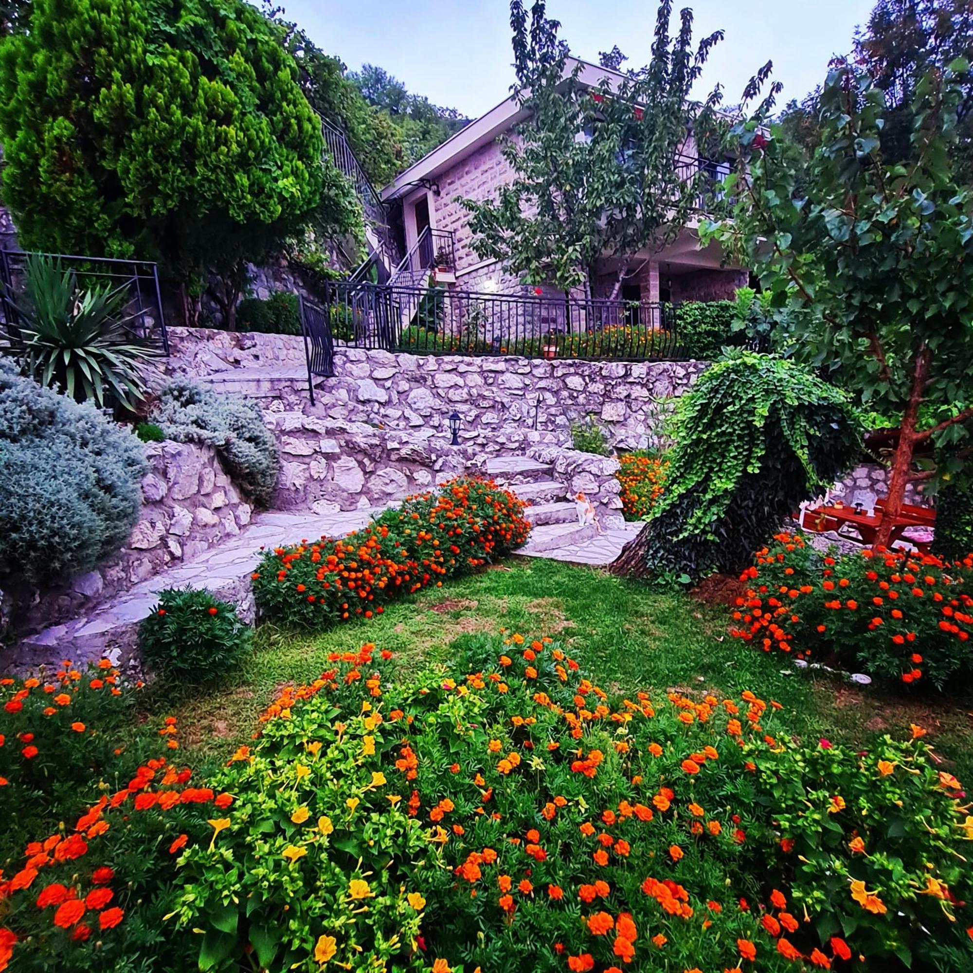 Villa Nera Μπούντβα Εξωτερικό φωτογραφία
